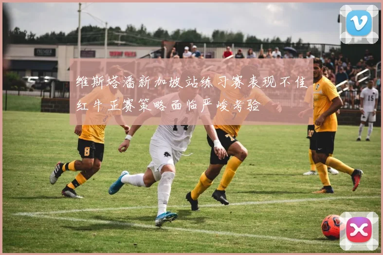 维斯塔潘新加坡站练习赛表现不佳红牛正赛策略面临严峻考验