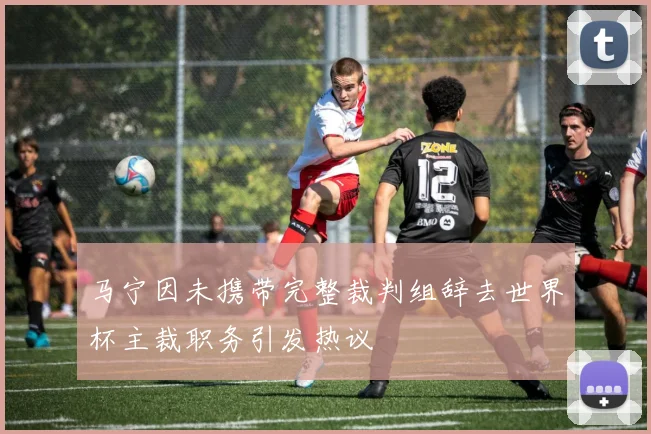 马宁因未携带完整裁判组辞去世界杯主裁职务引发热议